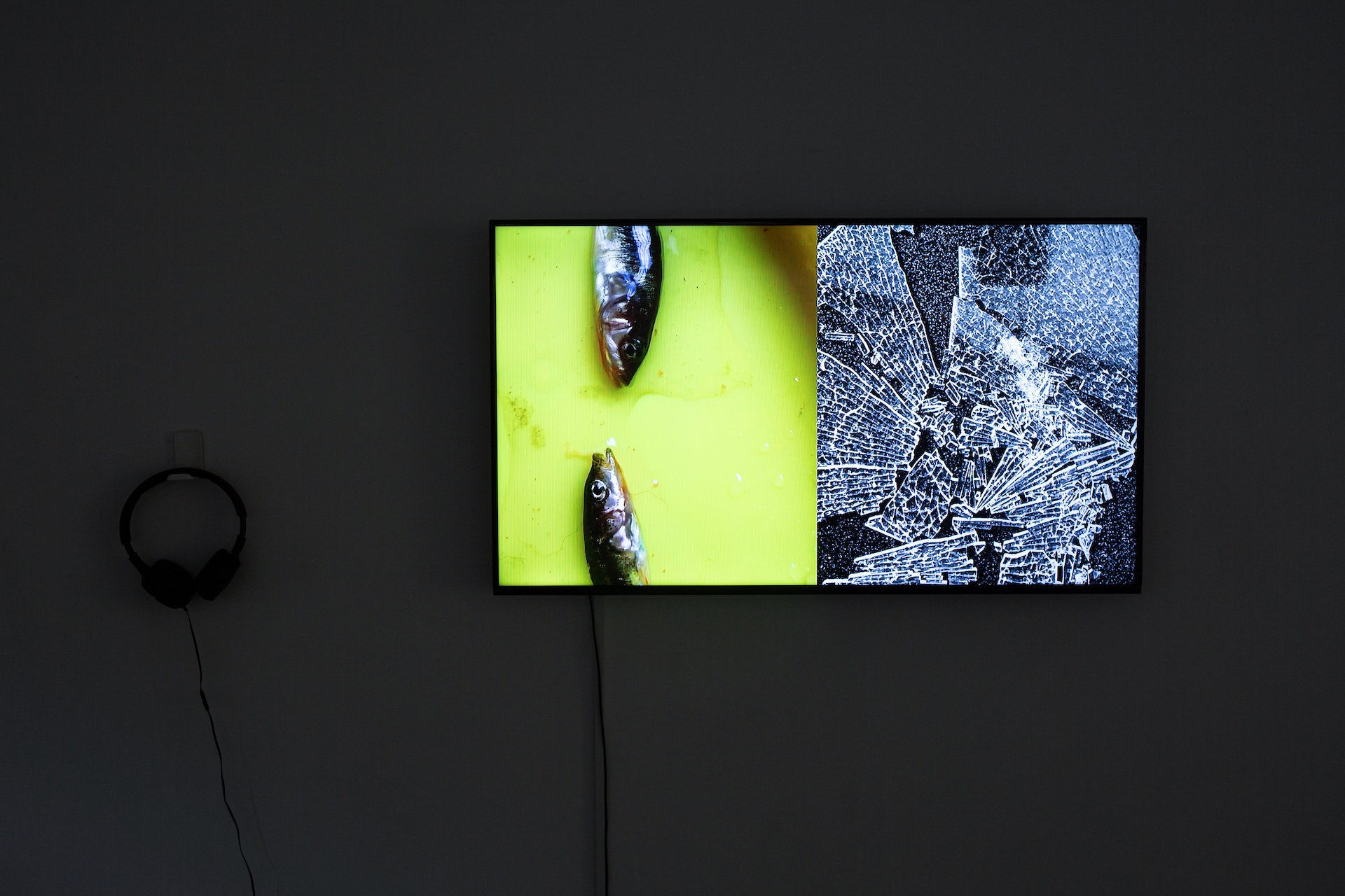 CYFEST 15: Vulnerability — International Media Art Festival