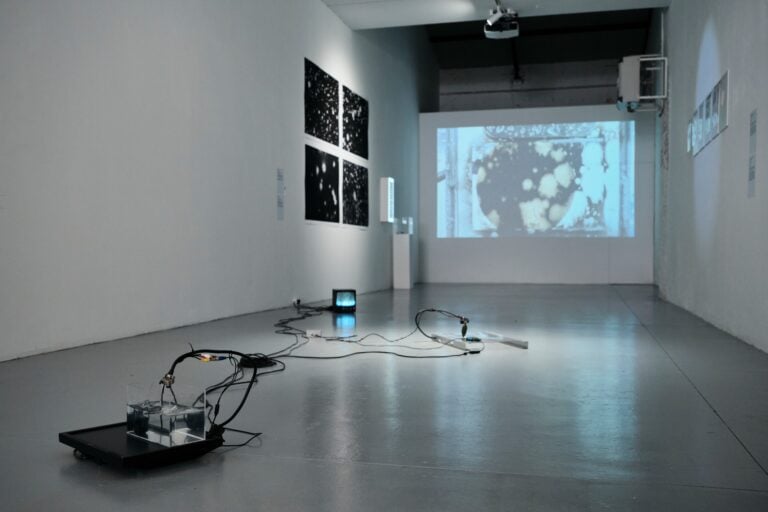 Tuula Närhinen, Drop Tracer, Sound and video installation, 2011. CYFEST 15 Vulnerability, CREA-One Contemporary Art Space, 2024. Photo Edith Bunimovich