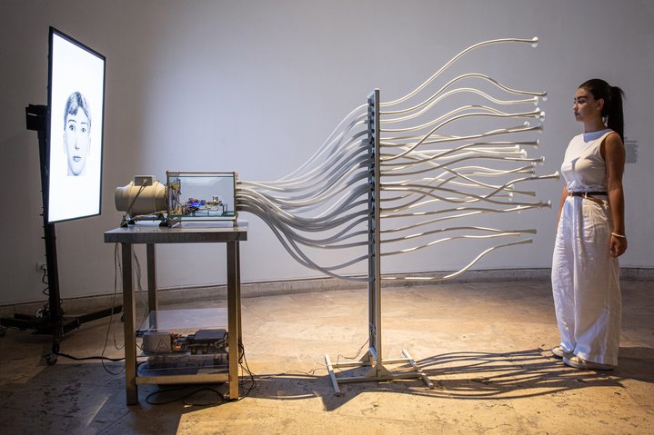 Where Dogs Run. Faces of Smell, 2012. Photo by Ann Prilutskaya. Courtesy of CYFEST