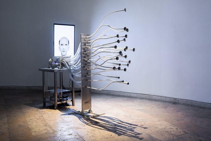 Where Dogs Run. Faces of Smell, 2012. Photo by Ann Prilutskaya. Courtesy of CYFEST