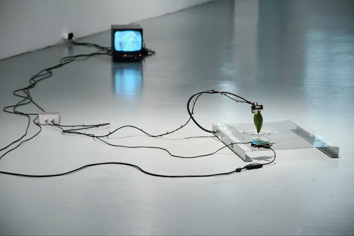 Max Blotas. Crystal clear_Eau de Roche, 2020. Photo by Edith Bunimovich. Courtesy of CYFEST