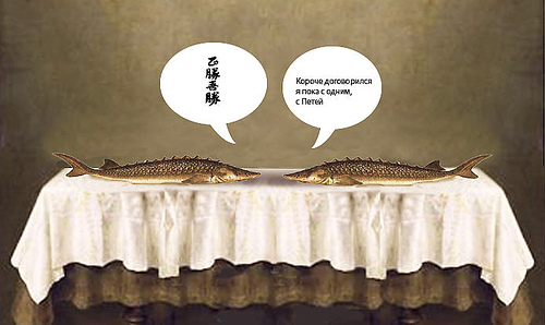 Fish Talk